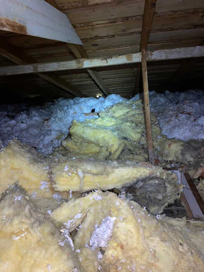 attic crew damaged insulation removal