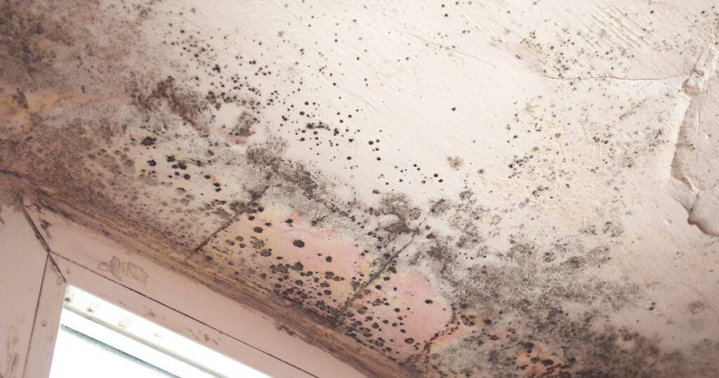 does home insurance cover mold from water damage
