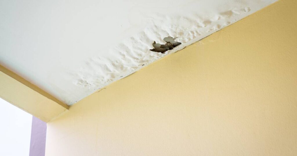 water intrusion definition