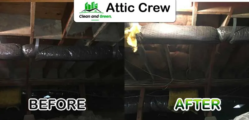 Crawl space cleaning: before and after