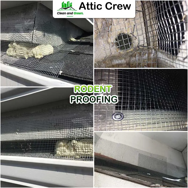 Rodent proofing: before and after