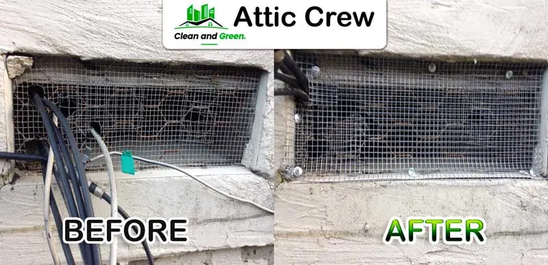 Rodent proofing: before and after