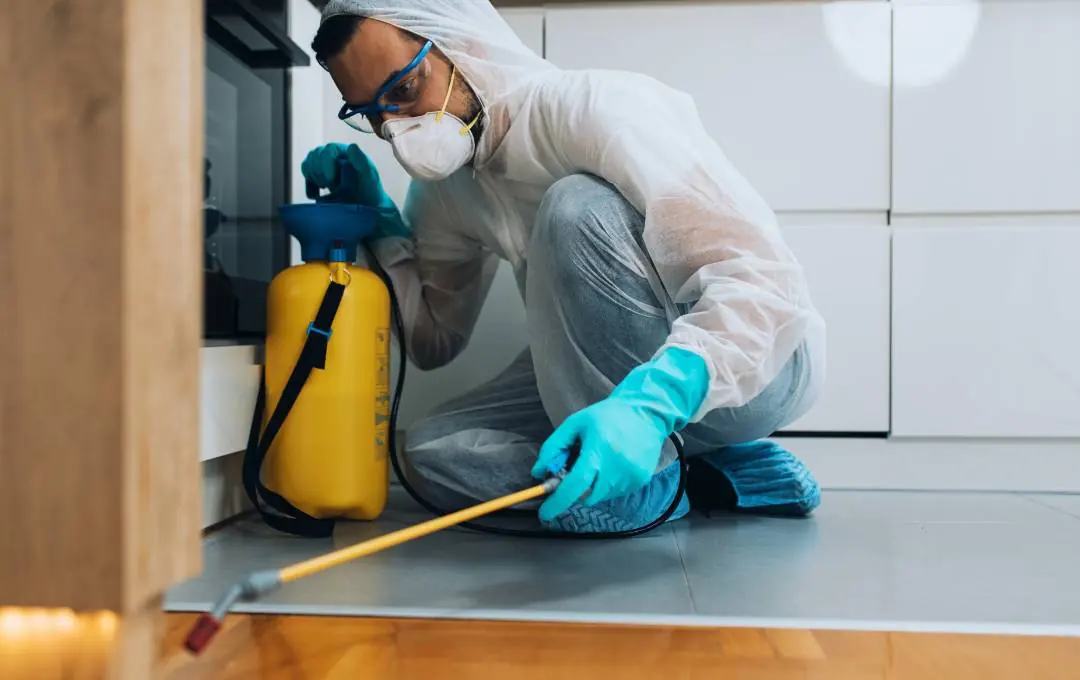 pest control industry atticrewwa.com
