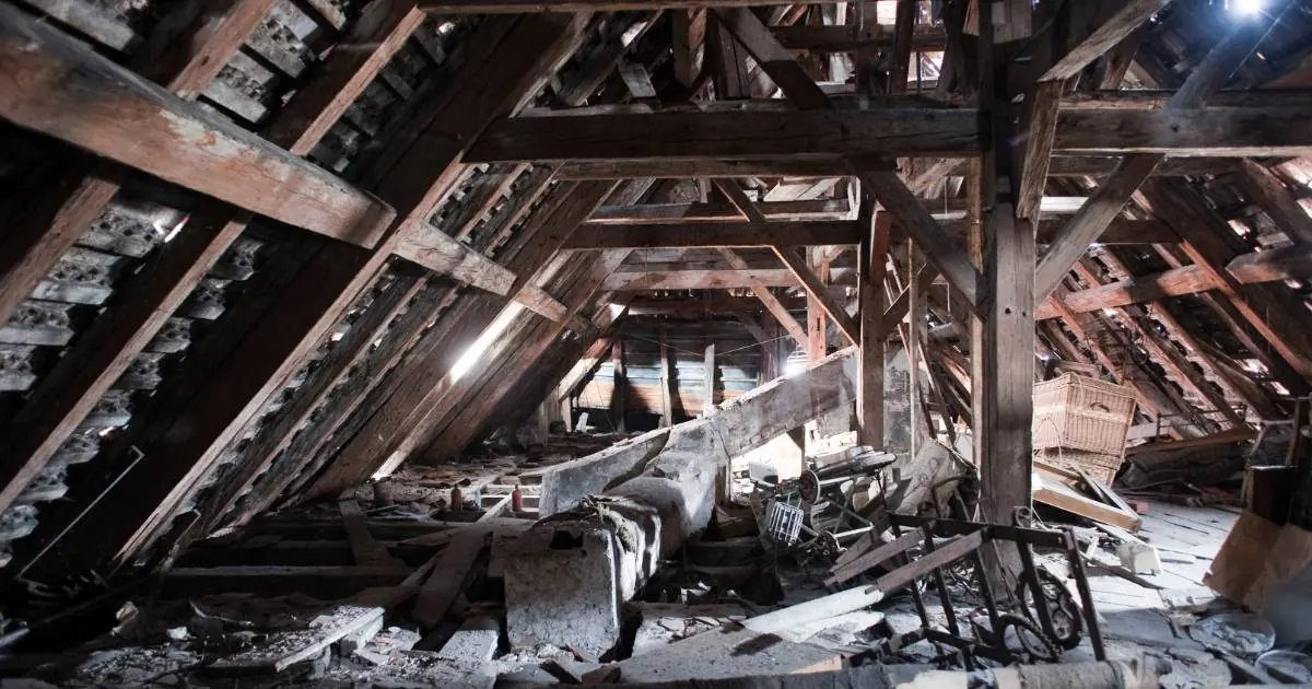 attic with mold