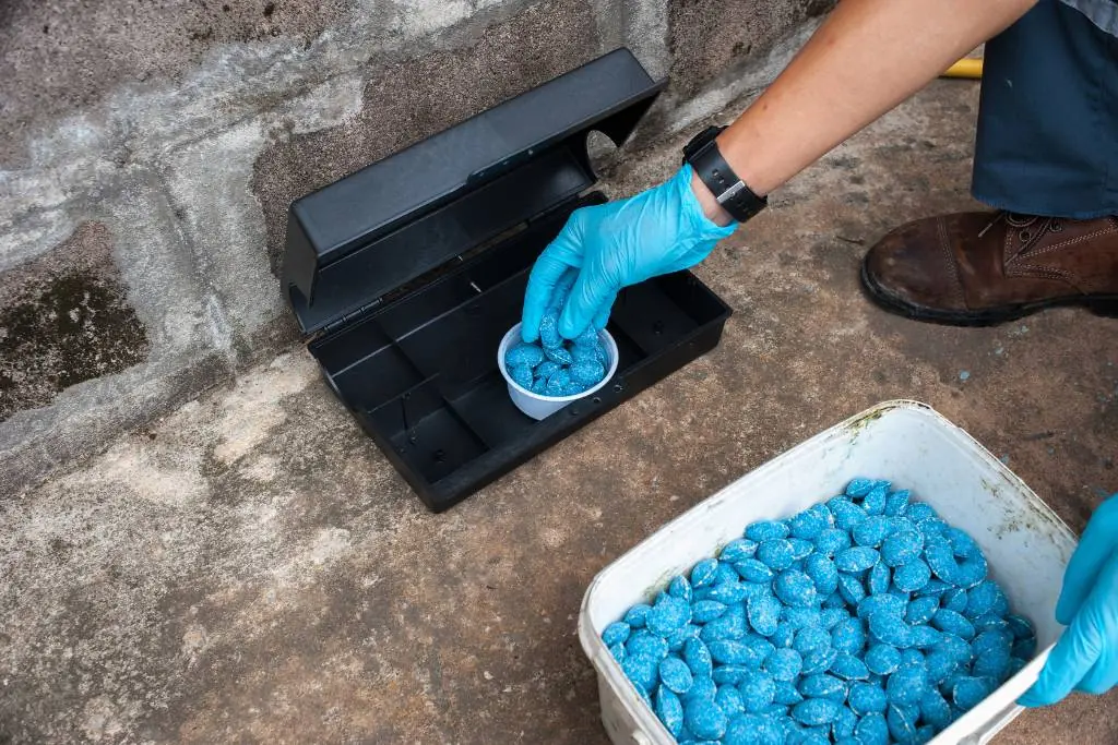 Rat Poison: Risks and Alternatives