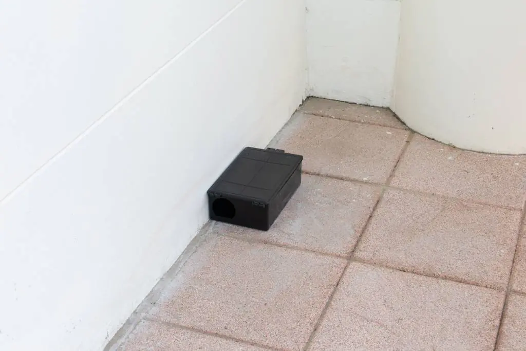 rat trap