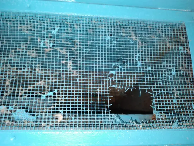 Damaged foundation vent screen with a hole rodents were using