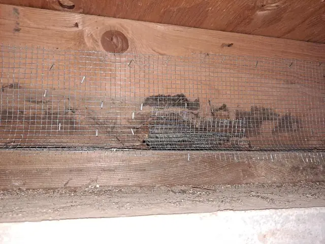 Gap along the framing sealed with galvanized mesh
