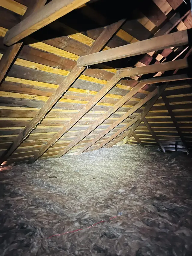 Even layer of new insulation across the attic floor