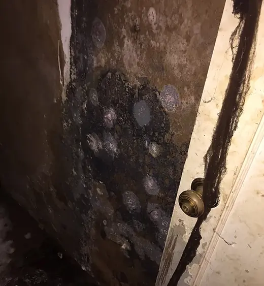 Mold growth on a wall behind removed finishes