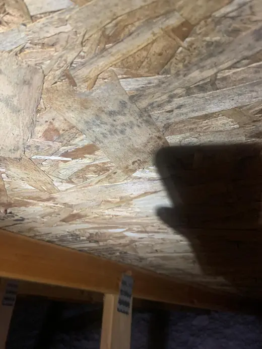 Mold spotting on attic roof sheathing