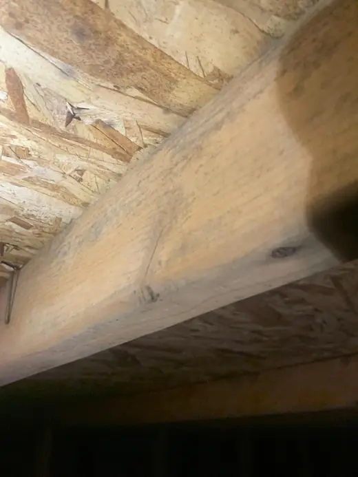 Mold spots on an attic rafter and the roof deck
