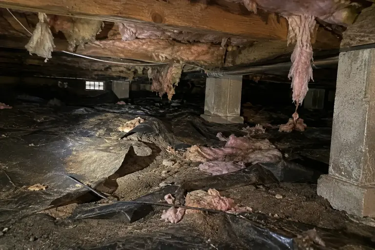 A dimly lit crawl space showing fallen insulation and torn black poly vapor barrier, highlighted by a flashlight beam.