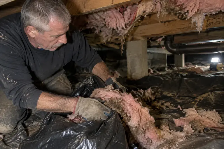 A technician removes fallen insulation from a crawl space.