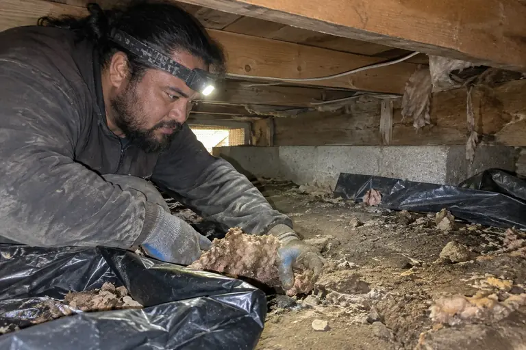 A technician removes old insulation and debris from a vented crawl space beneath a Craftsman bungalow.