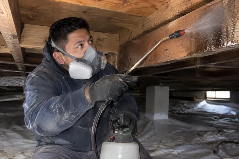 A technician sanitizes crawl space joists with a sprayer.