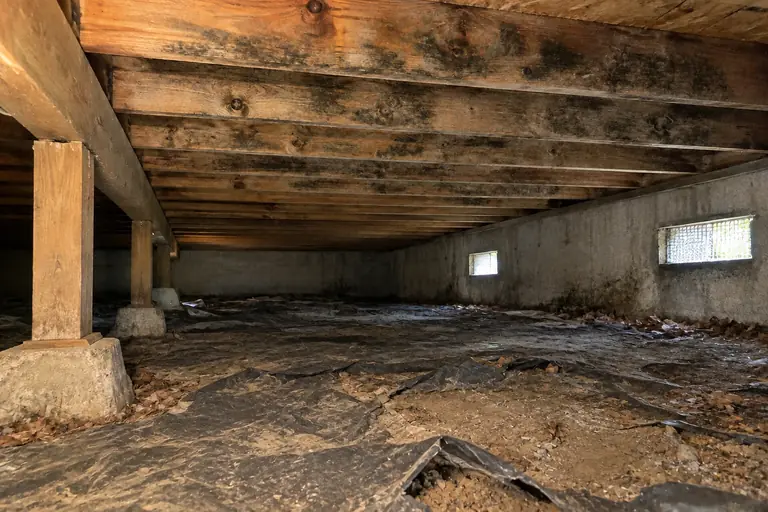 Crawl space cleaning with joist mold treatment, before: Heavy mold growth covers much of the crawl space joists, a typical problem in damp Seattle-area homes.