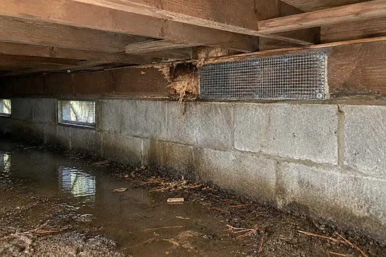 Crawl space cleaning with rodent-damaged sill plate repair, before: The crawl space shows clear rodent damage on the right sill plate and some droppings scattered nearby.