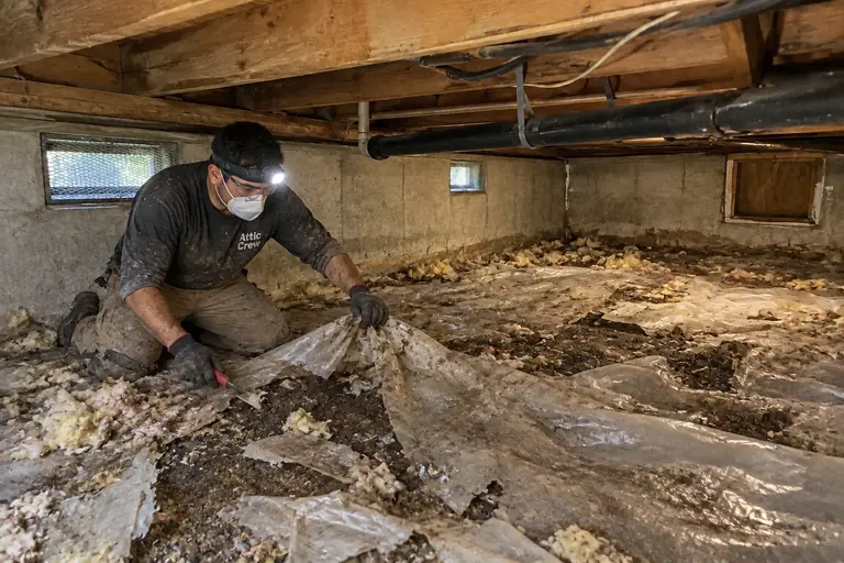 Crawl space cleaning with worn vapor barrier in Tacoma ranch, in progress: A technician carefully removes the damaged vapor barrier and clears insulation debris from the crawl space floor.
