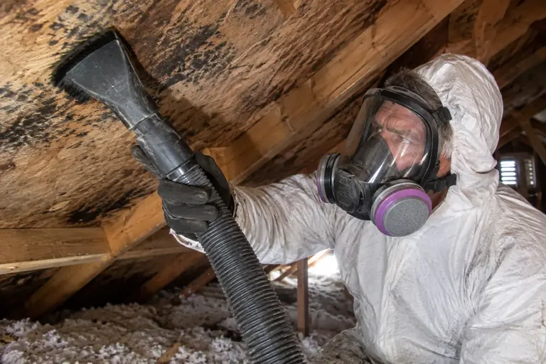 A technician is HEPA-vacuuming mold-stained roof sheathing.