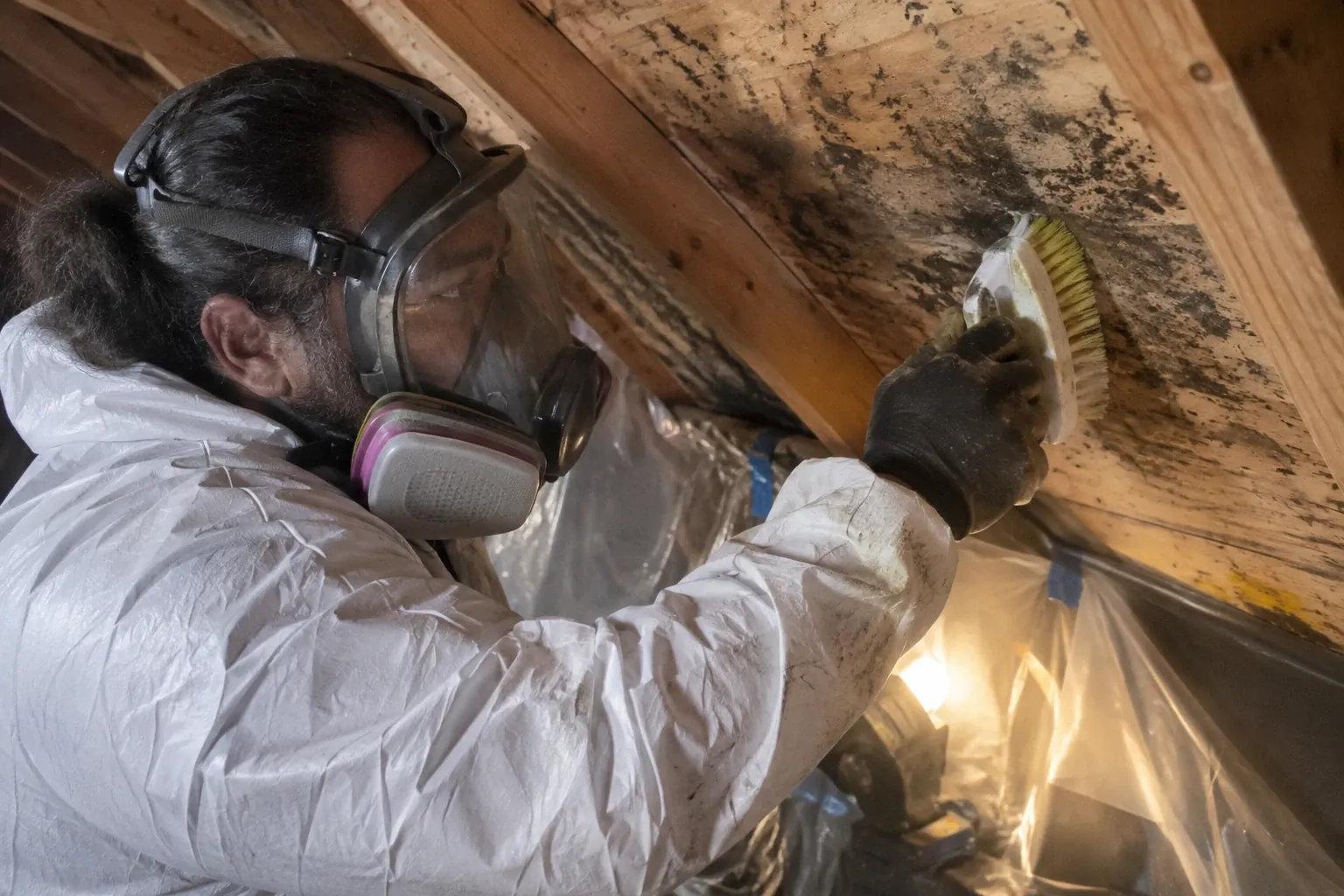 A technician performs mold remediation on attic roof sheathing with visible mold stains.