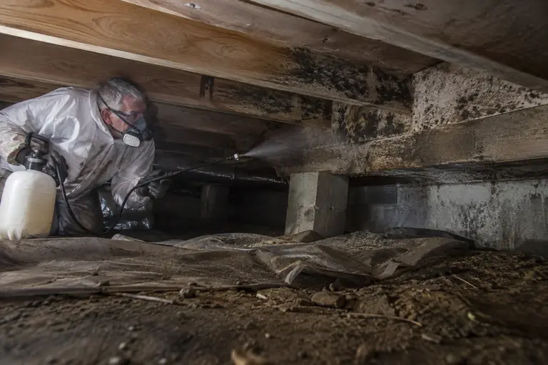 A technician sprays antimicrobial solution in a moldy crawl space.