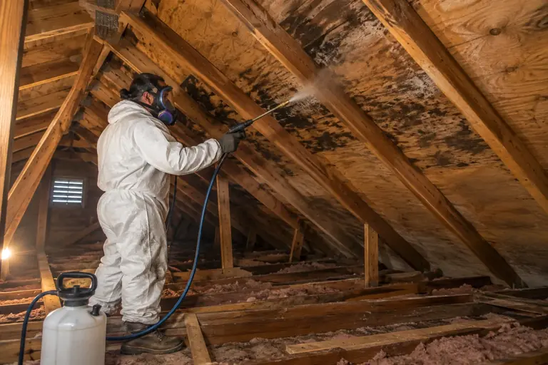 A technician sprays antimicrobial treatment.