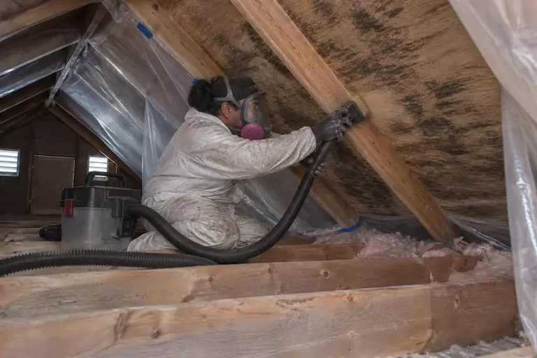 Mold remediation in Bellevue attic, in progress: A technician aggressively scrubs the mold-affected roof sheathing.