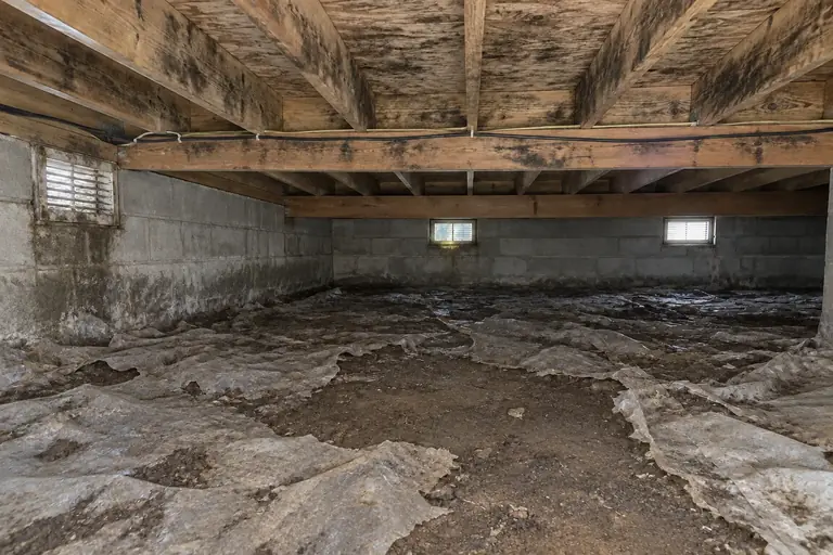 Mold remediation in Everett crawl space with ventilation mold, before: Heavy mold staining covers the crawl space joists with an old, damaged vapor barrier on the damp dirt floor.