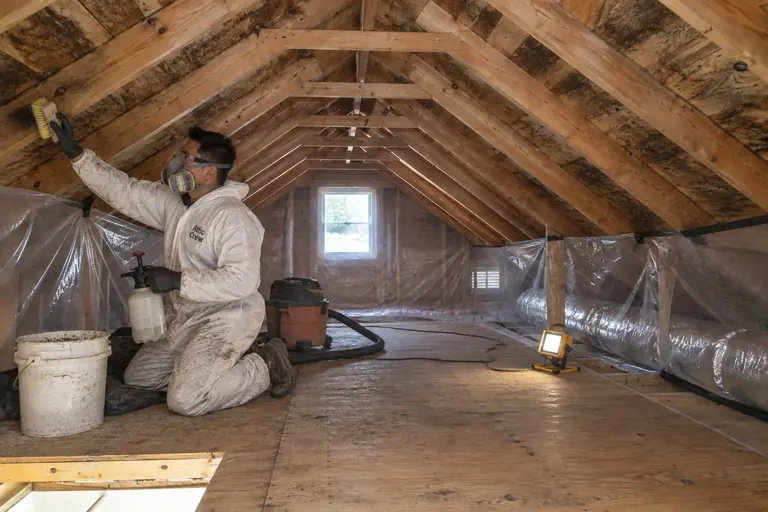 Mold remediation in Seattle Craftsman attic, in progress: During remediation, the technician carefully scrubs and treats mold on the attic roof sheathing under containment to prevent spread.