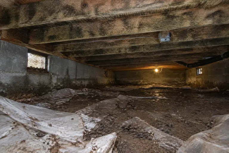 Mold remediation in Tacoma crawl space, before: Before mold remediation begins, the crawl space joists and underside sheathing show heavy mold staining and signs of moisture damage; the old vapor barrier is torn and displaced across the damp dirt floor.