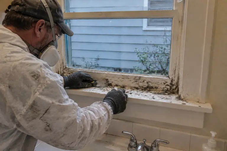 Window sill and frame mold cleaned, in progress: A technician begins mold removal by scraping and cleaning the affected window sill and frame surfaces.