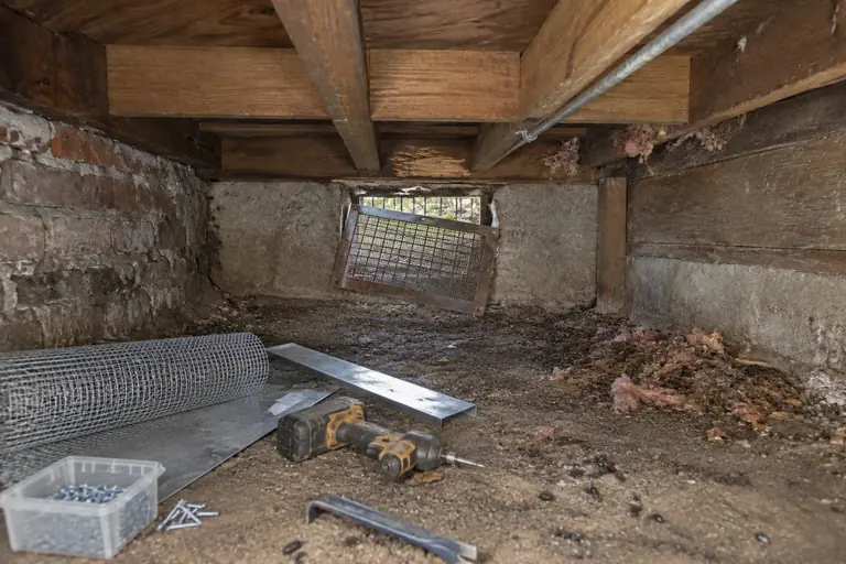 Crawl space rodent proofing in a Seattle Craftsman bungalow, in progress: A technician removes the deteriorated vent cover and prepares to install steel mesh exclusion material to block rodent entry.