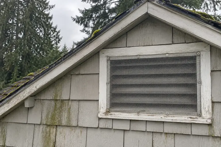 Gable vent screen replacement, after: The finished rodent-proofing job shows a new stainless steel mesh screen installed, fully sealing the gable vent against pests.
