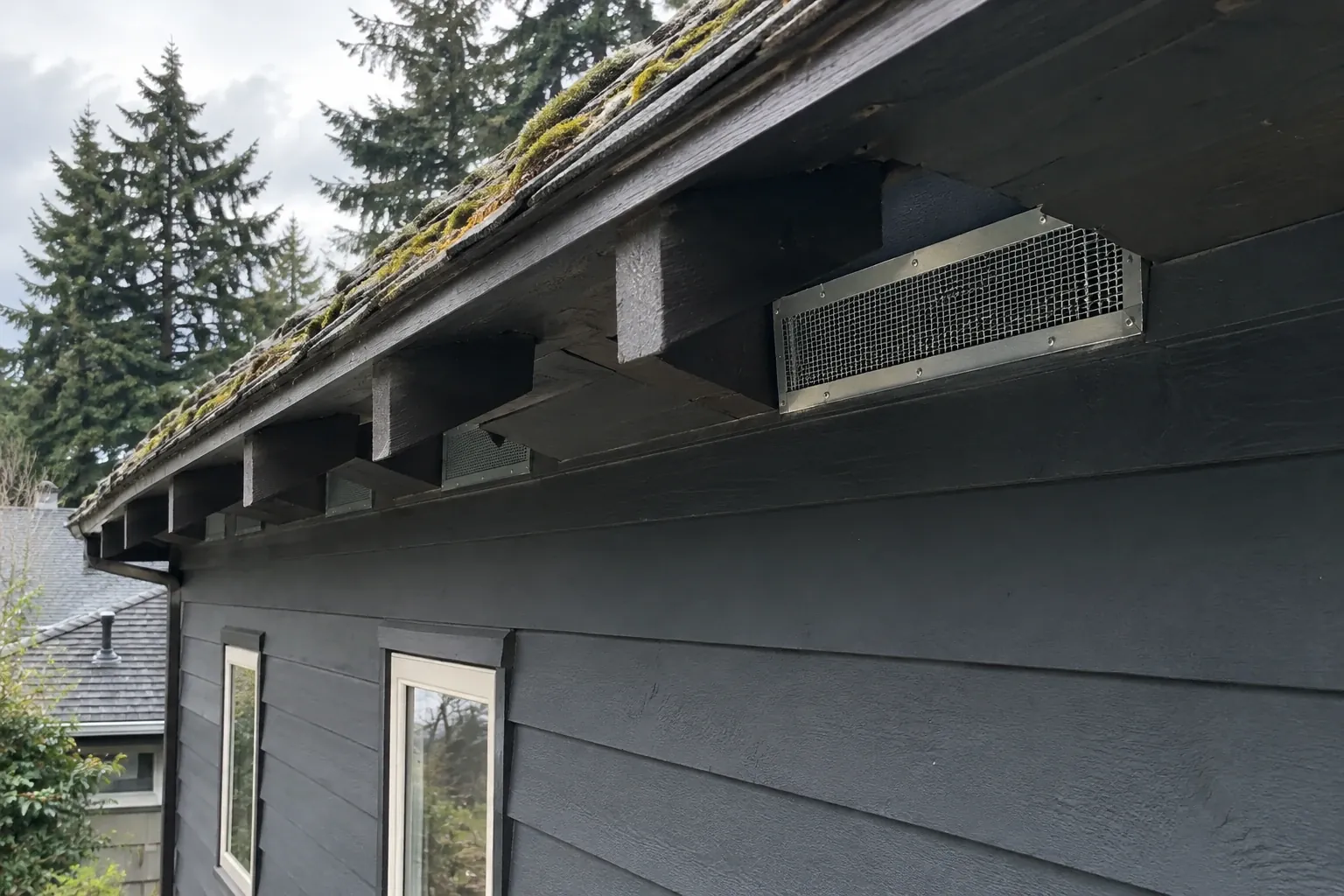 After: Rodent entry points sealed completely, with all vents covered by sturdy mesh and flashing to protect the home.