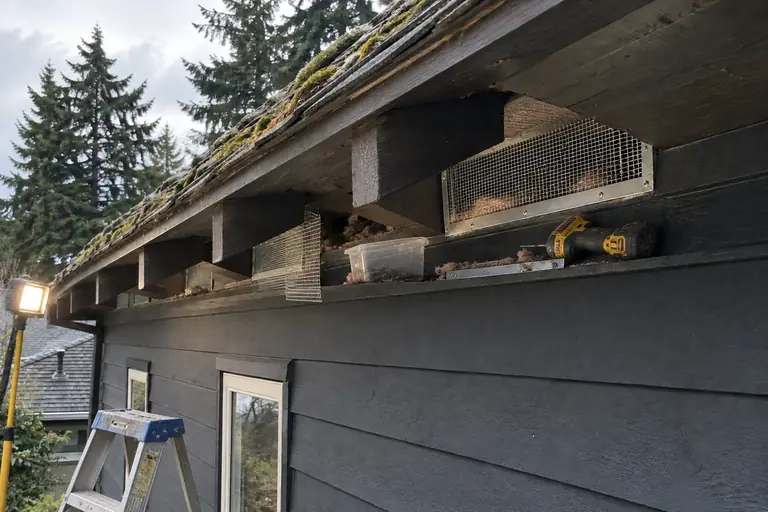 Rodent proofing the eaves of a Seattle Craftsman bungalow, in progress: A technician fits and fastens durable steel mesh and sheet metal over all vent openings to fully seal entry points against rodents.