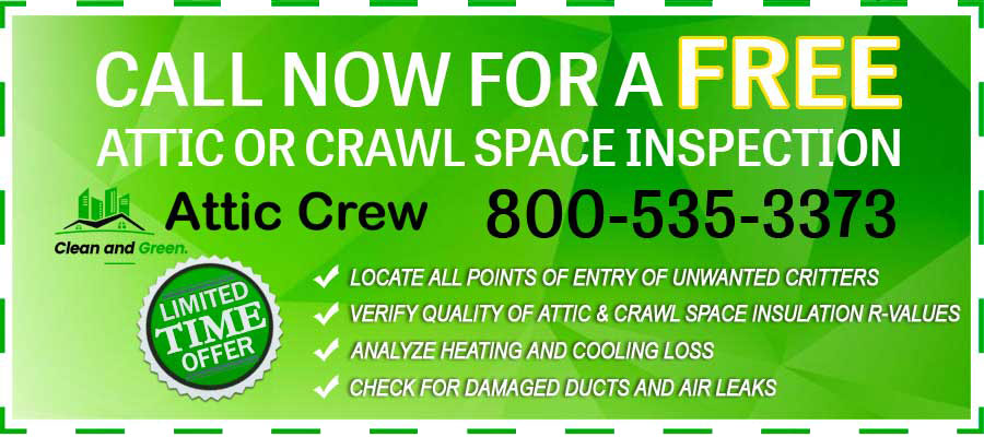 free-attic-crawlspace-inspection-offer