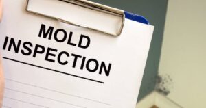 mold inspection seattle
